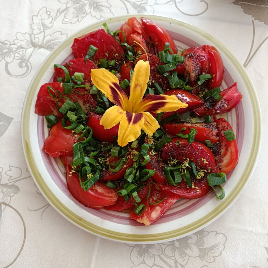 Séjour de juillet 2025 - Jeûne et Forêt - Randonnée bien être Santé Énergie AMJ FFJR Hauts de France 07- ©Jeûne et forêt