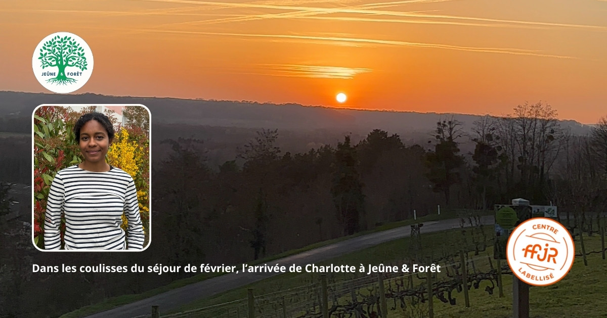 Jeûne et Forêt - Randonnée bien être Santé Énergie AMJ FFJR Hauts de France fev26 7 ©Jeûne et forêt FB - Randonnée bien être Santé Énergie AMJ FFJR Hauts de France