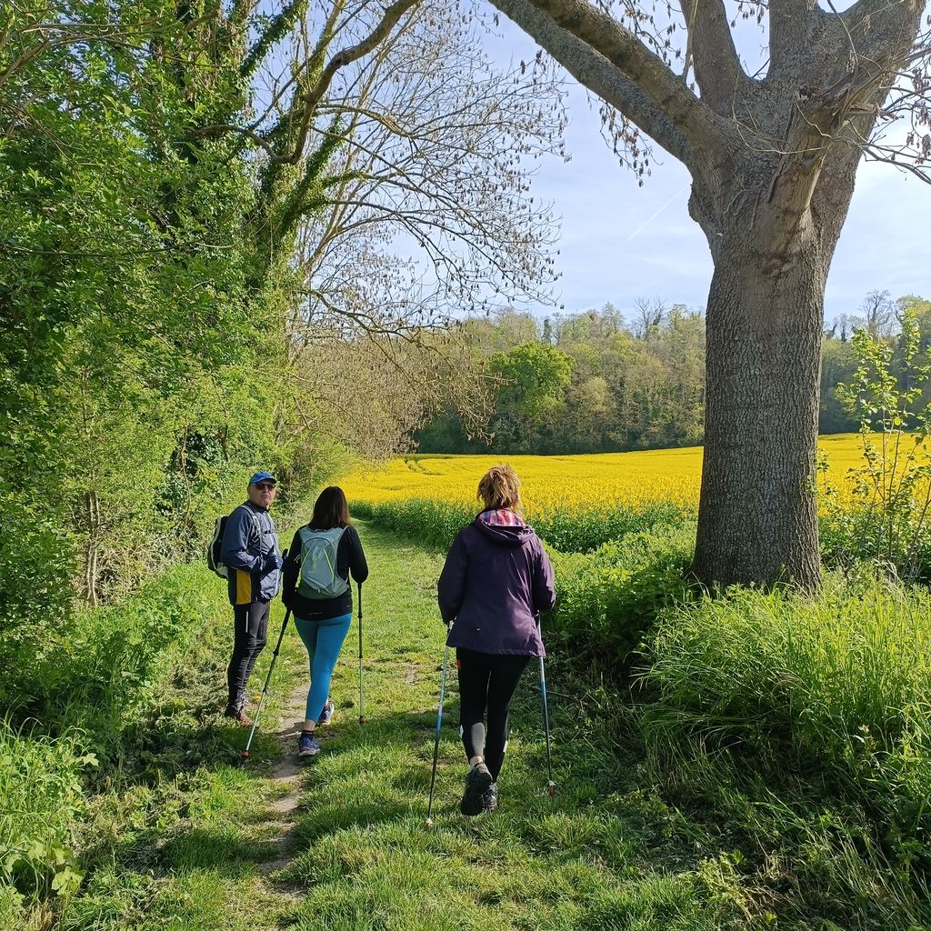 Fleurs d'avril - Jeûne et Forêt - Randonnée bien être Santé Énergie AMJ FFJR Hauts de France 4 26 14 ©Jeûne et forêt