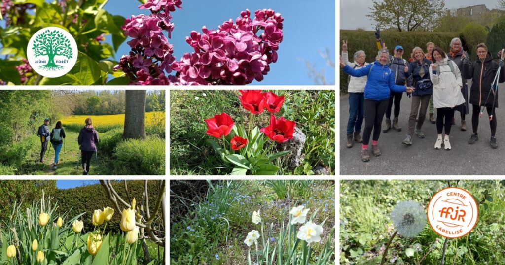Fleurs d'avril - Randonnée bien être AMJ FFJR - Jeûne forêt