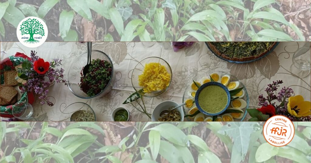 Une journée autour de l’ail des ours -UNE- Randonnée bien être AMJ FFJR - Jeûne forêt