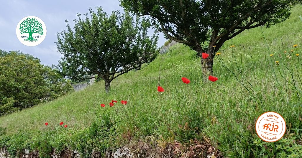 Une semaine de jeûne entre femmes Mai 2026 - Randonnée bien être AMJ FFJR - Jeûne forêt 06