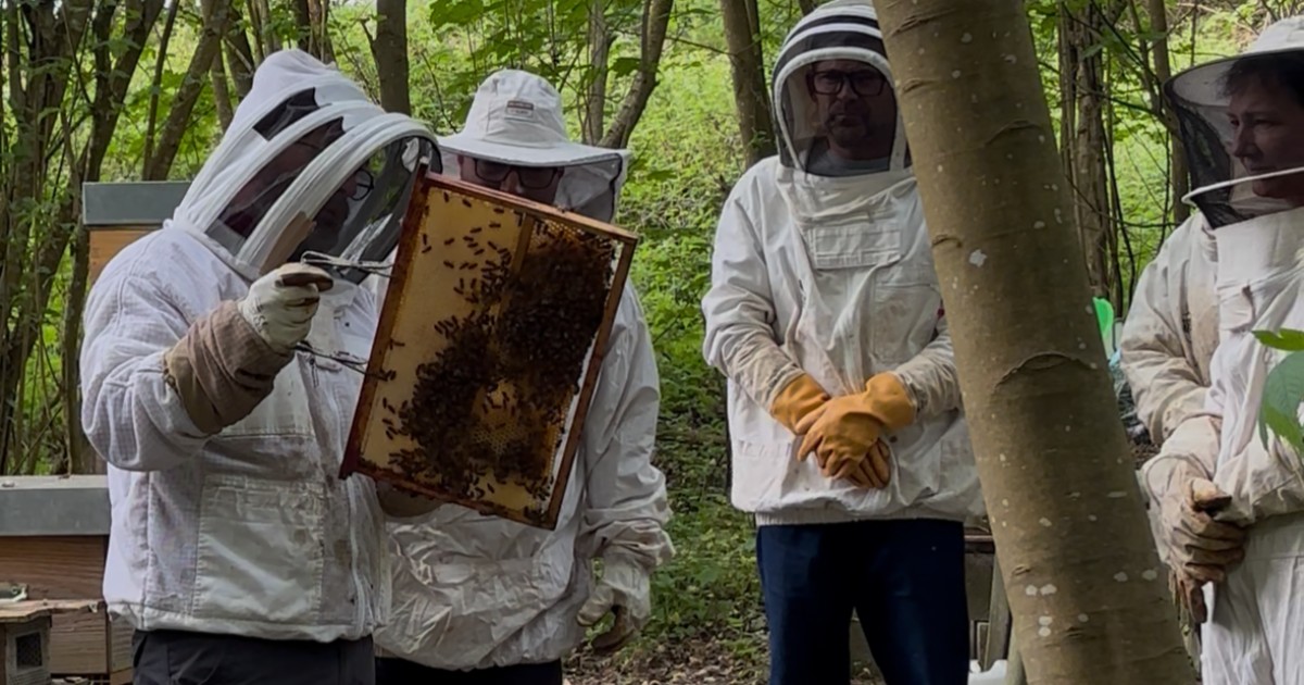 Une visite chez un apiculteur - Jeûne et Forêt - Randonnée bien être Santé Énergie AMJ FFJR Hauts de France ©Jeûne et forêt - 3