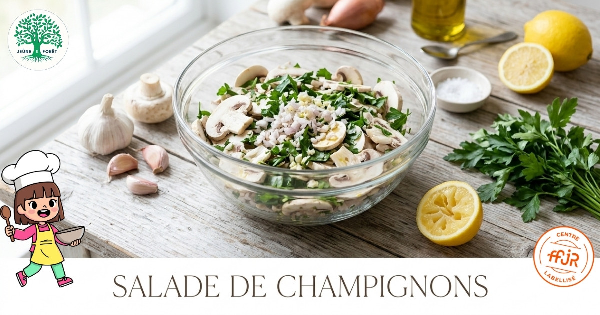 Salade de champignons - Les recettes de la maison des Mésanges - Jeûne & Forêt - Randonnée bien être Santé Énergie