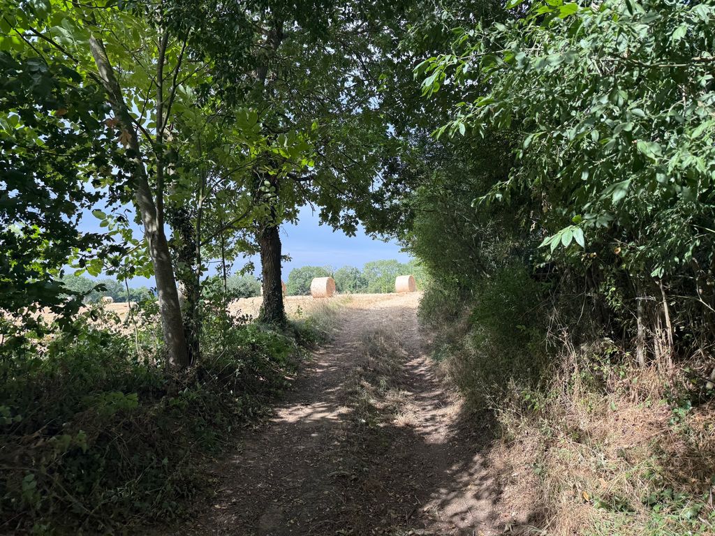 Chemin de randonnée dans la nature autour de Jeûne & Forêt