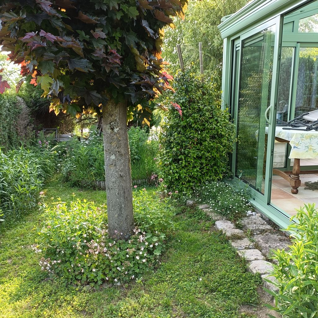Jardin et véranda de la Maison des Mésanges